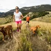 Runners run with dogs on a mountain trail