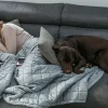 post-run naps