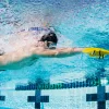 swim paddles swim paddles