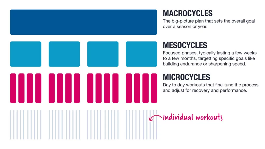Макроциклы, мезоциклы и микроциклы, объясненные в периодизированной тренировке