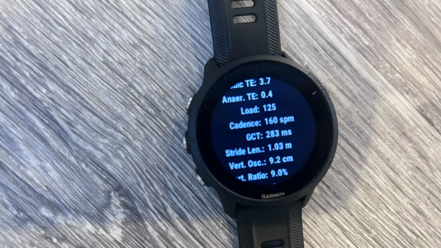 часы Garmin часы Garmin