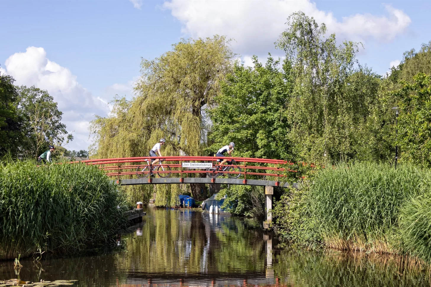 На следующей поездке или пробежке найдите время, чтобы практиковать принципы "лесных купаний." На следующей поездке или пробежке найдите время, чтобы практиковать принципы "лесных купаний."