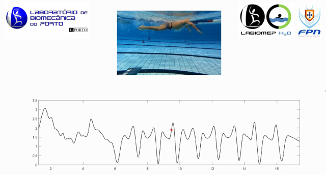 Система обратной связи на основе видео для внутрисекундных изменений скорости, записанная в LABIOMEP. Система обратной связи на основе видео для внутрисекундных изменений скорости, записанная в LABIOMEP.