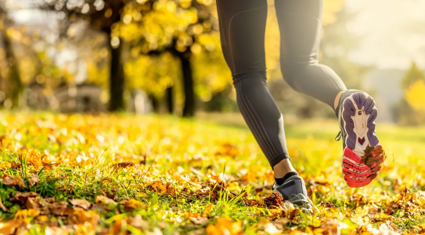 Крупный план женских ног, бегущих в парке, сопровождаемый растяжками для квадрицепсов и икр для спортсменов.