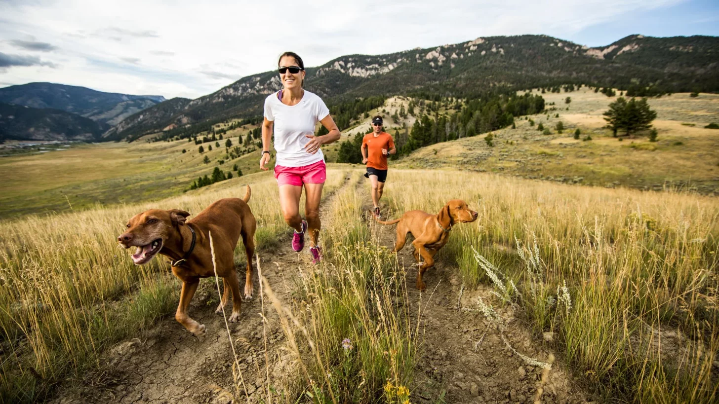 Runners run with dogs on a mountain trail