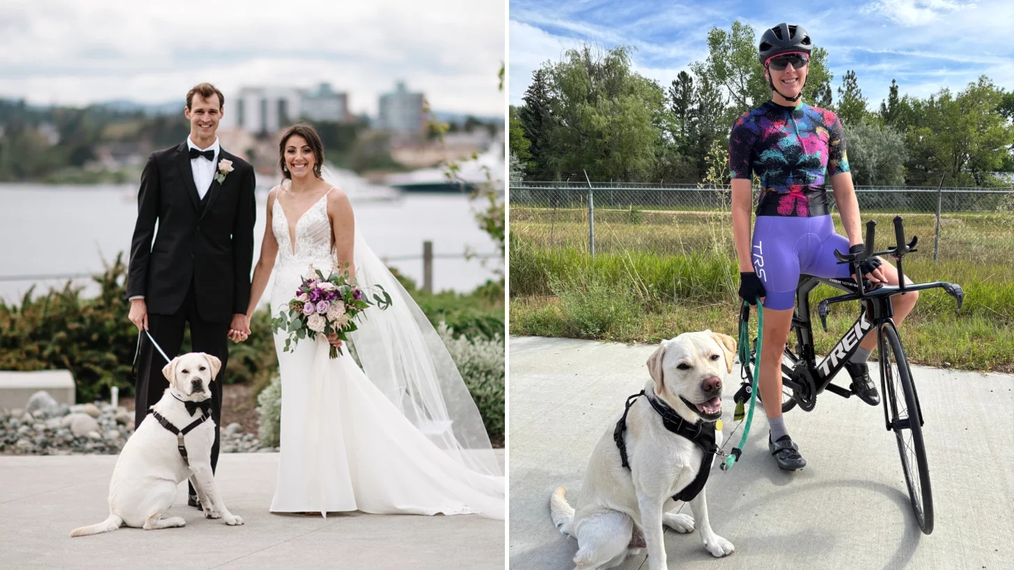 Мэтт Шарп и Кирстен Каспер говорят, что их собака Реджи не любит участвовать в тренировках. Но он обожает участвовать в восстановлении на диване.