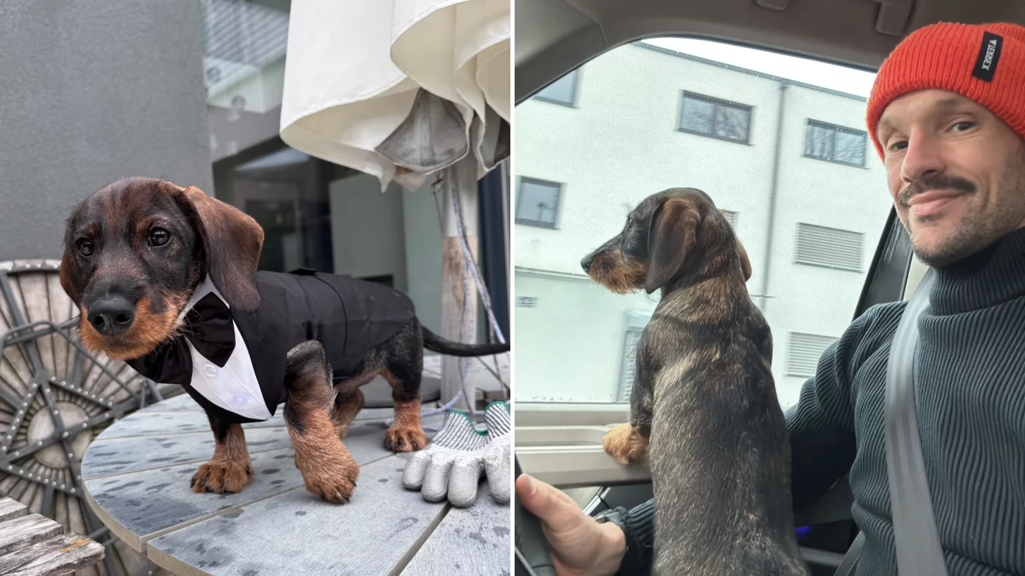 Патрик Ланге недавно стал "собачьим папой", но он говорит, что Руди помогает ему сохранять перспективу на то, что действительно важно.